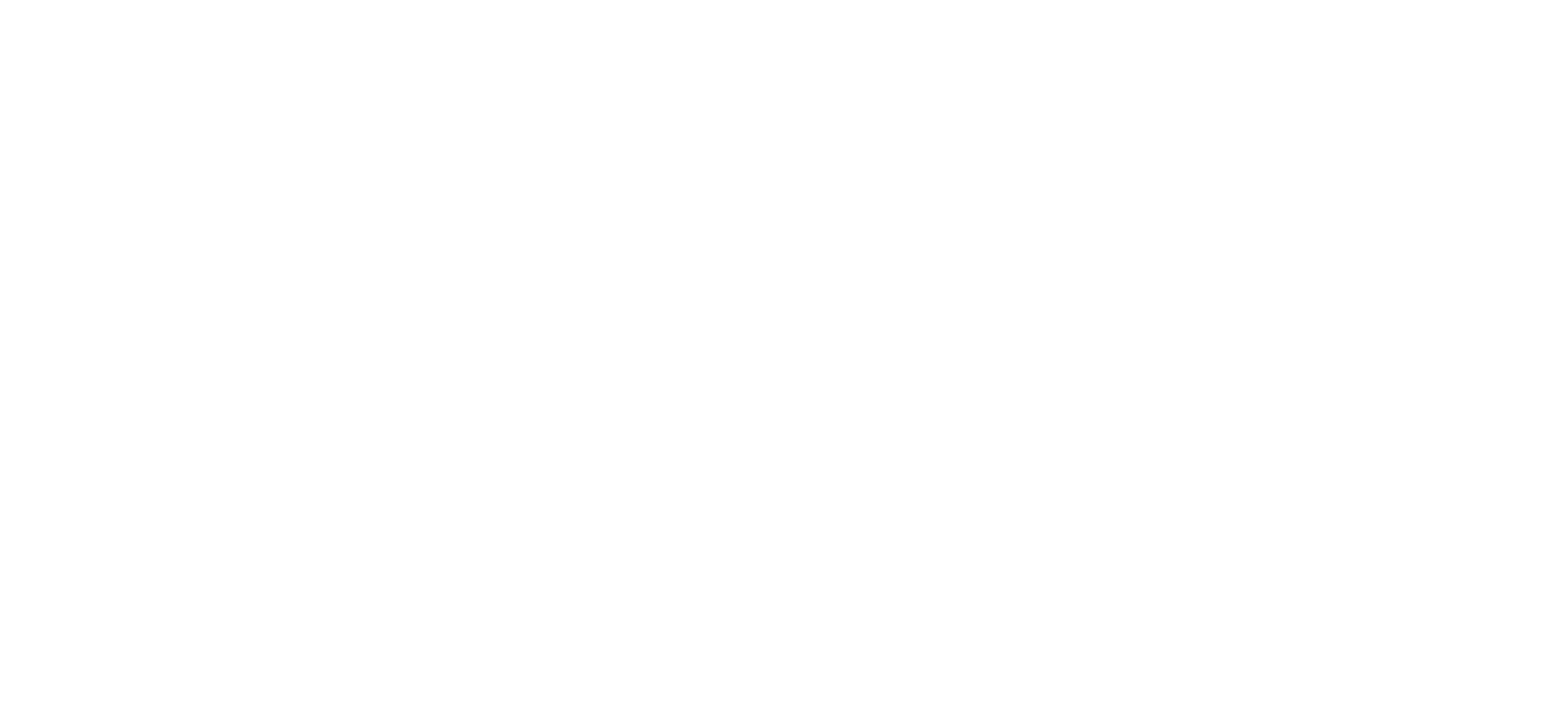 VIP Soccer
